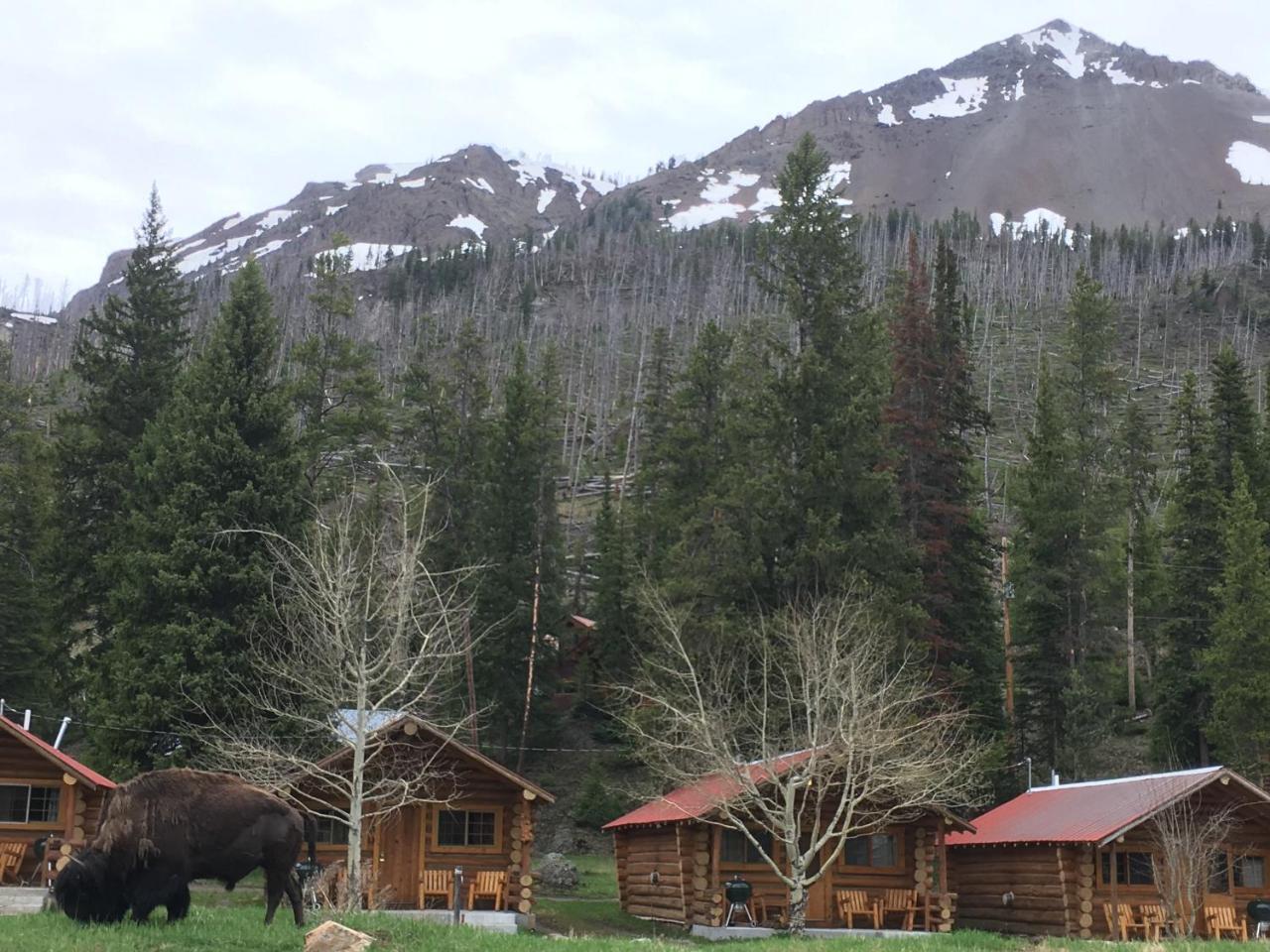 Silver Gate Lodging Cooke City Exterior photo